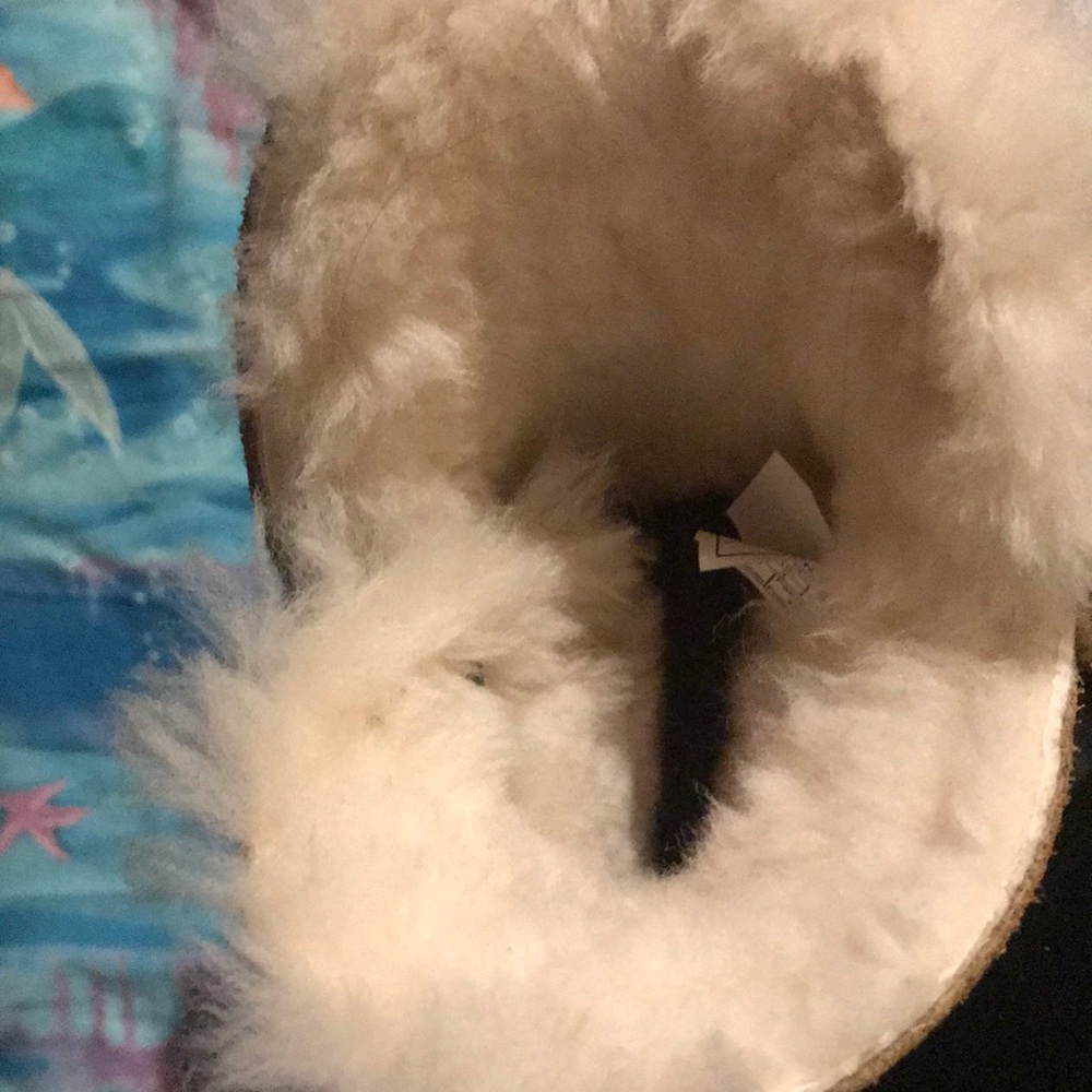 Ugg - Picture 3 of 4